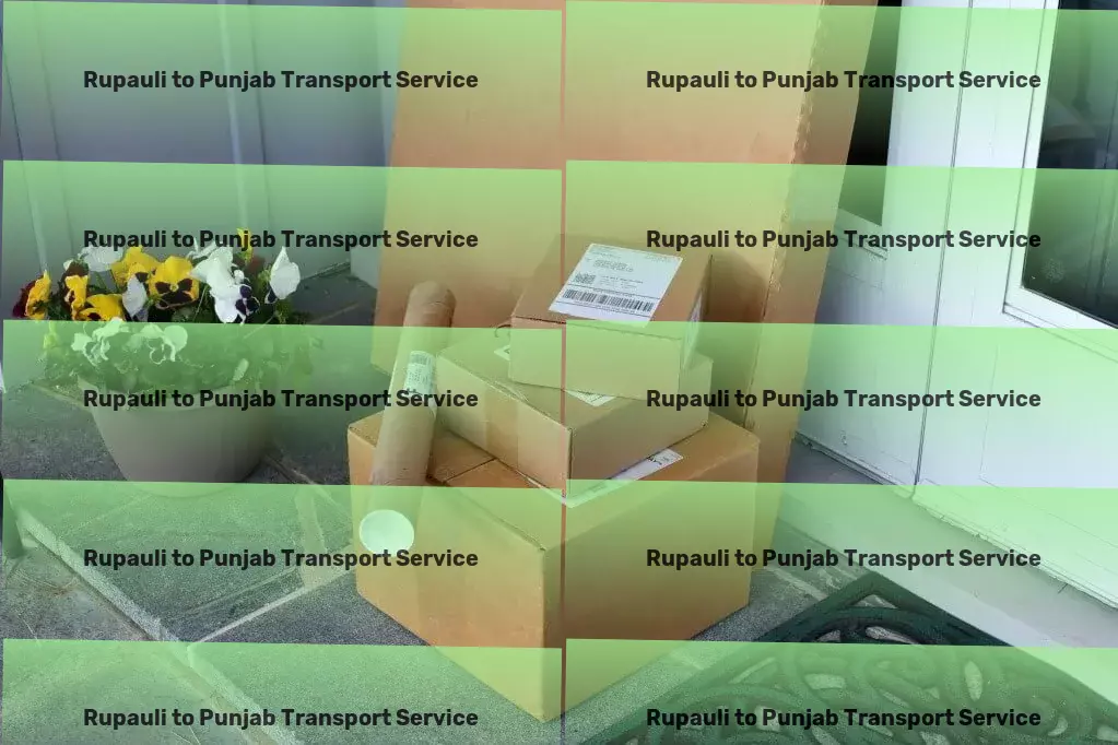 Rupauli to Punjab Packers And Movers Efficient freight and shipment