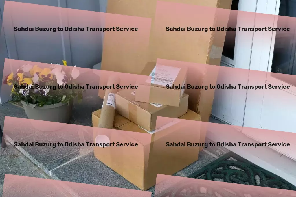 Sahdai Buzurg to Odisha Luggage Courier Quick freight dispatch