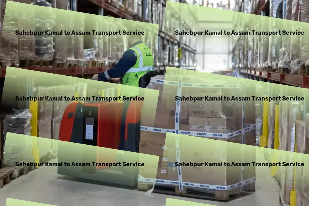 Sahebpur Kamal to Assam Courier And Parcel From coast to coast, moving India smarter and faster! - Cross-state courier services